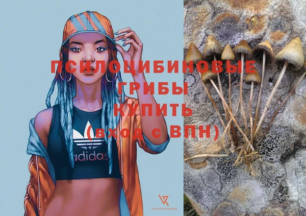 мдпв Лиски