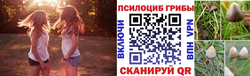 где продают наркотики  Цоци-Юрт  Галлюциногенные грибы MAGIC MUSHROOMS 